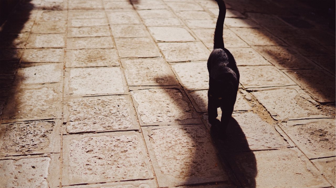 Processed with VSCO with kp6 preset