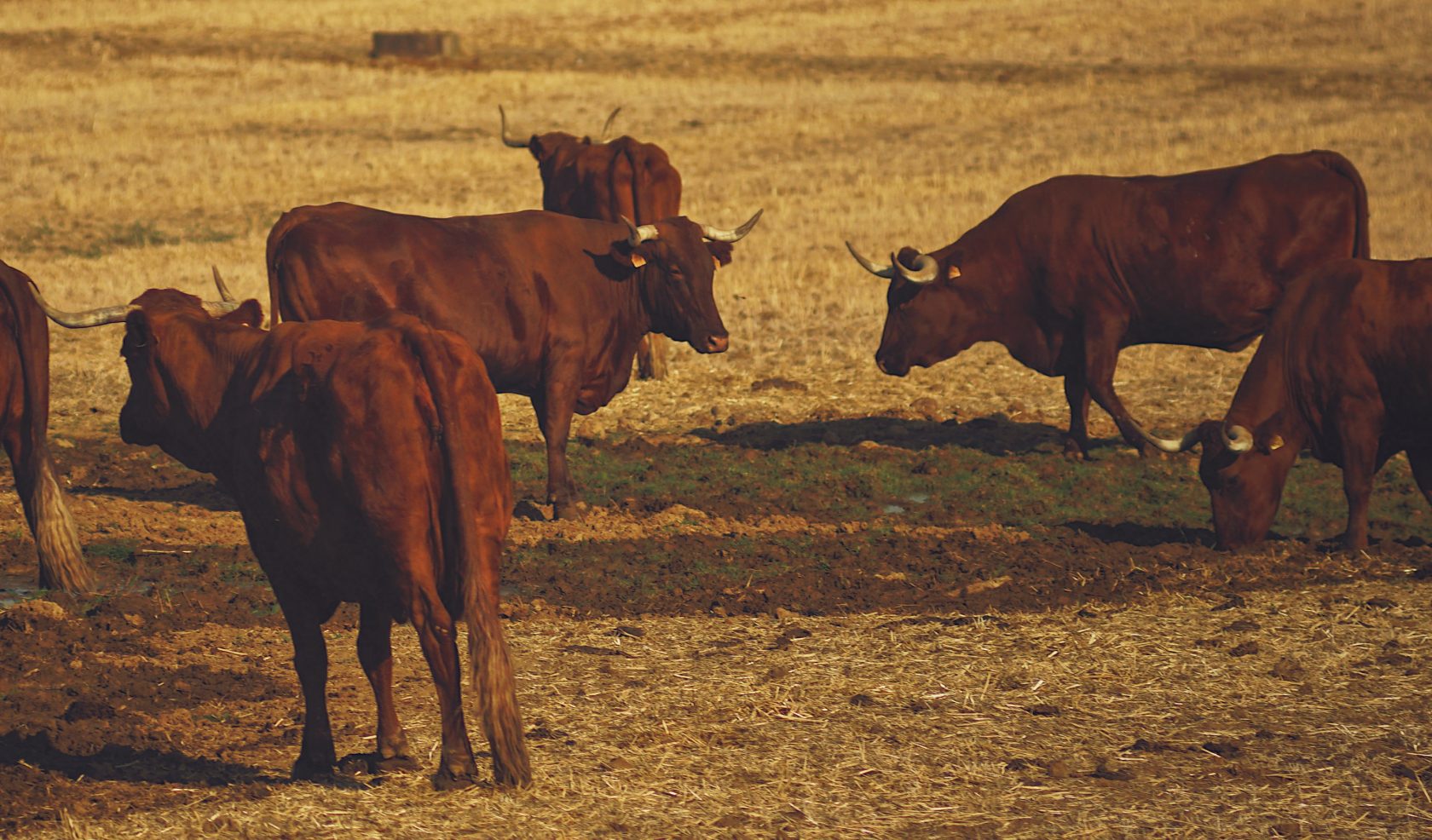 Processed with VSCO with 9 preset