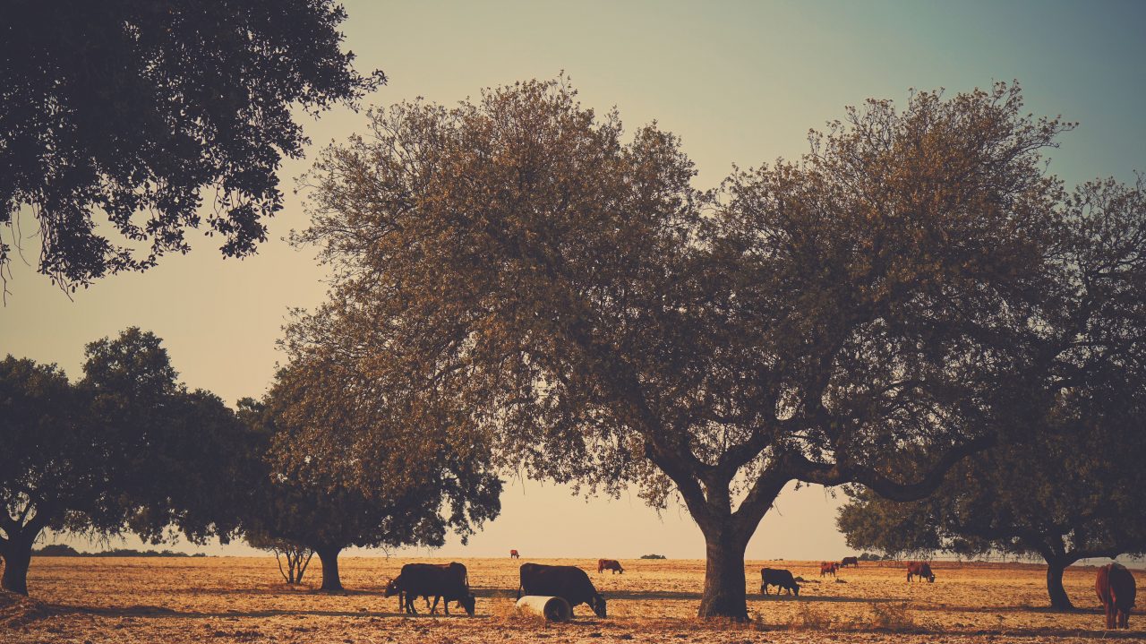 Processed with VSCO with 9 preset