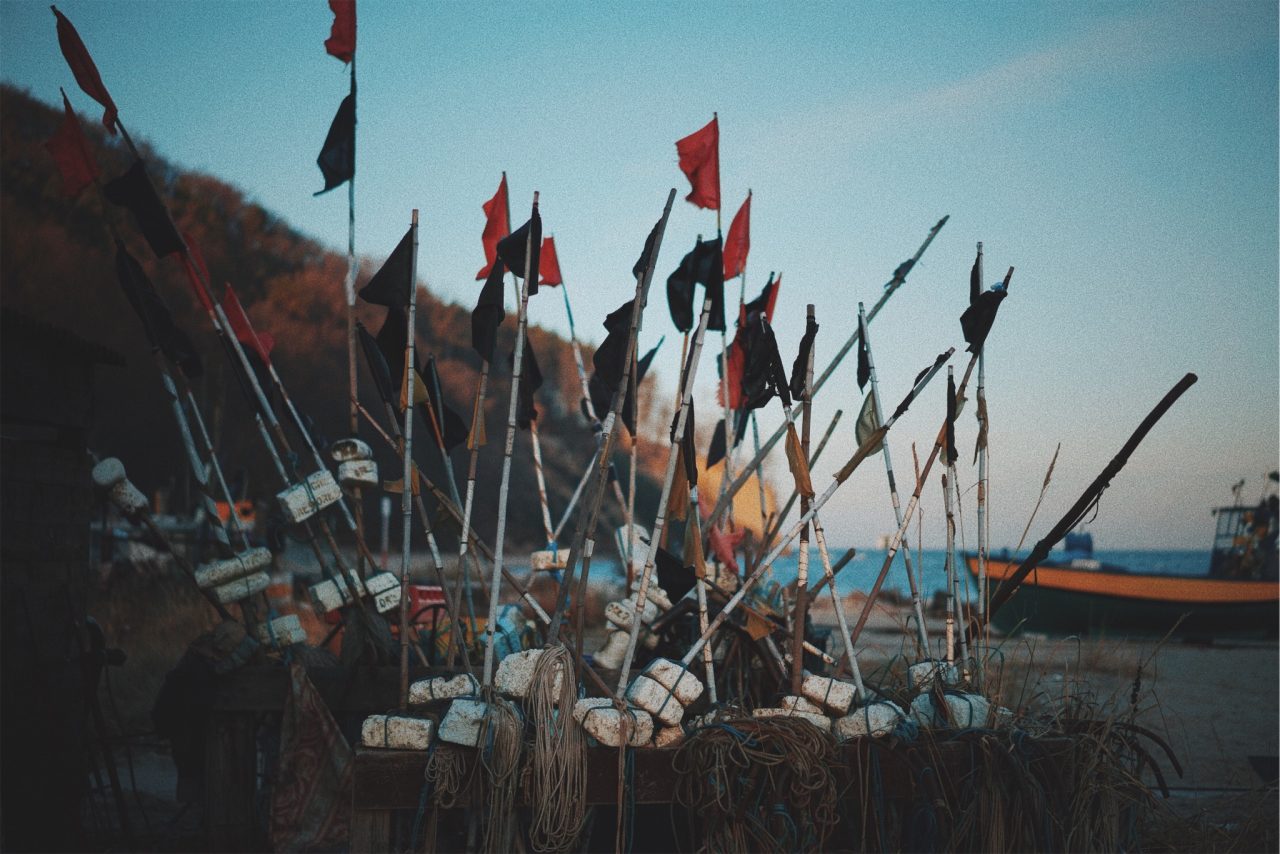 Processed with VSCO with c8 preset