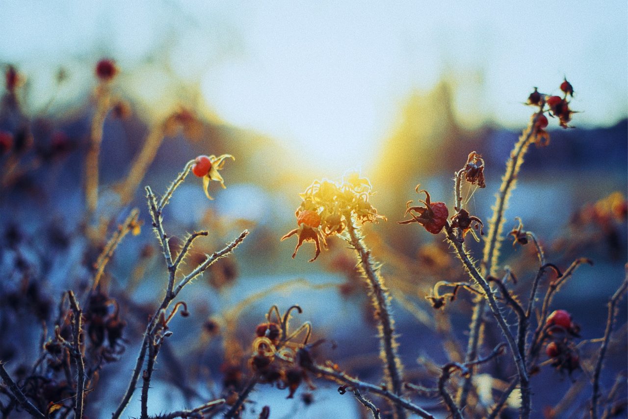 Processed with VSCO with al6 preset