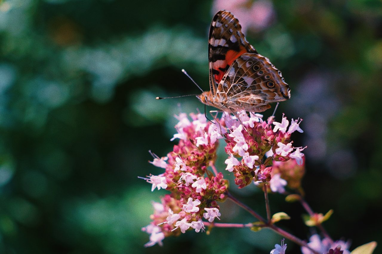Processed with VSCO with l6 preset