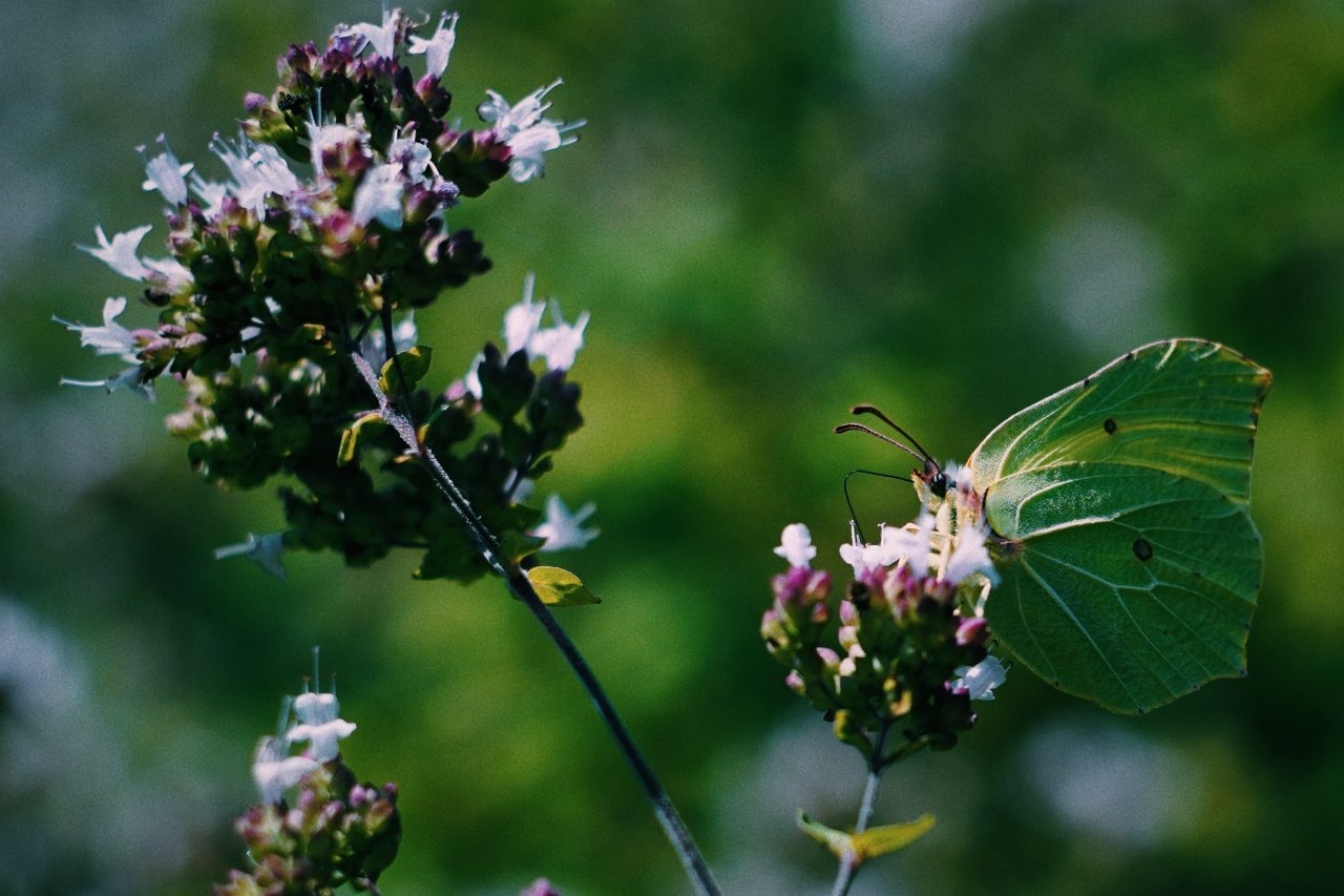Processed with VSCO with c1 preset